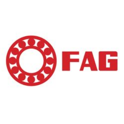 Picture for manufacturer FAG