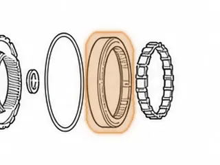 Outer Race, 010/087/089/090 Sprag (With Lugs On OD) — Part # 65665