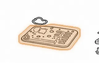 Filter, 09G (.905”Thick, For Shallow Pan) 2003-Up (Pick-Up Opening Is 4.333”Long and .785”Wide) — Part # 265010A