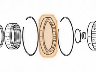 Sprag Assembly, 09G Low/Reverse (F1) (20 Rollers)(14 Outer Lugs)(Plastic Cage) 2003-Up — Part # 265644A