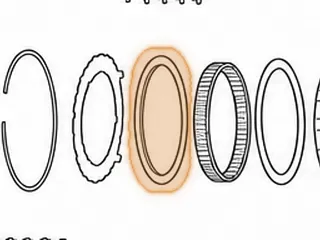 Sprag, A450-43LE Low (46 Elements) (6 3/16”OD) (.808” Wide)(With Brass End Caps) — Part # 141652