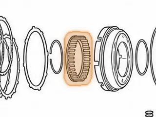 Spring & Retainer, A450-43LE Low / Reverse (36 Springs-5”OD) (3 5/8”OD) 1998-Up — Part # 141977A