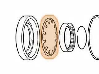 Spring, 4F27E Low & Reverse Clutch Return (Beveled) (12 Fingers) (.050” Thick) 1999-Up — Part # 138977A