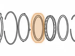 Sprag, 4F27E/FNR5 Low (20 Elements) (.465” Thick Brass End Caps) 1999-Up — Part # 138654A