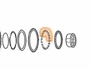 Sprag, ZF4HP18 Intermediate (Eagle) — Part # 79652E