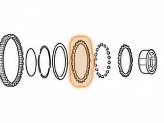 Outer Race, ZF4HP18 Intermediate Sprag (Eagle) — Part # 79663E