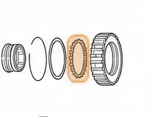 Sprag, ZF4HP18 Rear (Eagle) — Part # 79654E