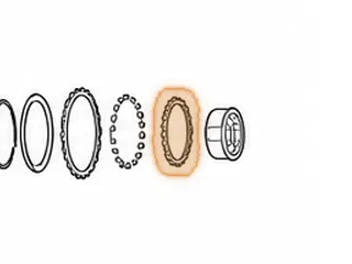 Inner Race, ZF4HP18 Intermediate Sprag (Eagle) — Part # 79662E