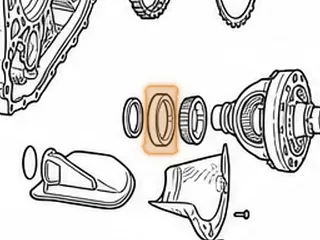 Race, ZF4HP16 Differential To Bell Housing (Tapered)(2.953”OD)(Timken KLM503310) (Poland PF H164) 2002-07 — Part # 145291A