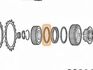 Sprag, 700R4/4L60E Forward Clutch (28 Element) 1987-E95 (Can Use 74658C) — Part # 74658B
