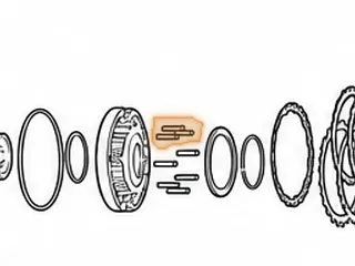 Springs, L3N71B / L4N71B Direct Clutch Return — Part # 53975