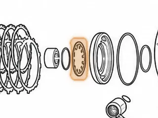 Diaphragm Spring, L3N71B / L4N71B Low / Reverse Clutch Return — Part # 53977