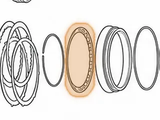 Diaphram Spring, E4OD/4R100 Overdrive Clutch 1989-Up — Part # 36970