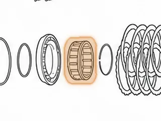 Springs W/Retainer, E4OD/4R100 Direct Clutch Return 1989-Up — Part # 36975B
