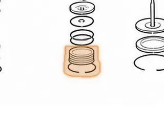 Lathe Cut Seal, AOD/AODE4R70W/4R75W/4R70E/4R75E Overdrive Servo Cover 1980-Up — Part # 76367