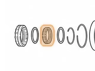 Sprag, 4T40E Input (22 Elements) 1995-11 — Part # 14658A
