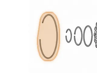 Snap Ring, 45RFE/68RFE Low/Reverse Drum To Case (8 1/4”OD) (.069” Thick)(Beveled) 1999-Up — Part # 72886A