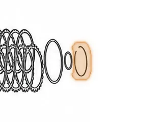 Snap Ring, 5EAT Holds Rear Sprag To Outer Race (.037” Thick)(3.935” OD) 2005-Up — Part # 173890A