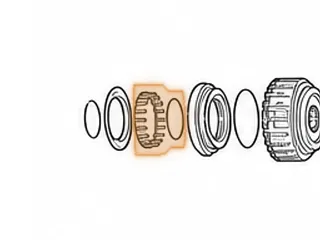Springs, 5EAT High-Low Clutch Return (W/Retainer)(18 Springs) 2005-Up — Part # 173977A