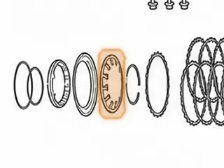 Spring, ZF5HP19/FL/FLA Overdrive Direct Clutch Return (.060” Thick)(4.680”OD)(Beveled) (12 Fingers) 1994-Up — Part # 175971A