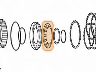 Spring, ZF5HP19/FL/FLA Overrun Clutch Return (Beveled) (12 Fingers)(.073” Thick) 1994-Up — Part # 175978A