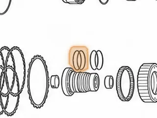 Ring, ZF5HP19/FL/FLA Low/Reverse Clutch (Rubber) 1994-Up — Part # 175178AR