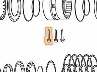 Bolt Set, ZF5HP19 Low/Reverse & Overrun Clutch Housing To Case (3 Pieces) 1997-Up — Part # 175788BK