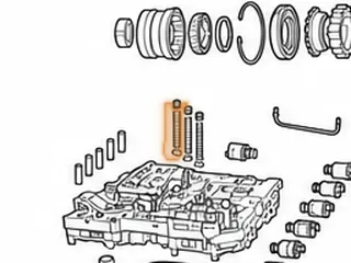 Spring Set, ZF5HP19FL/FLA (3 Springs, 3 Seals & 3 Snap Rings) Goes Into Case Above Valve Body, For Low/Reverse &… — Part # 175748AK