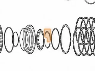 Clip Set, ZF5HP19/FL/FLA Holds Forward Clutch Return Spring In (2 Pieces) 1994-Up — Part # 175984A