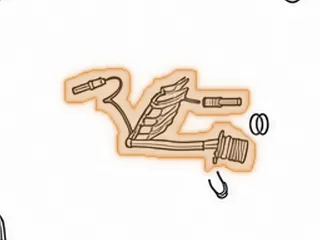 Wire Harness, ZF5HP24 (BMW) Internal (With 16 Prong Case Connector)… — Part # 185446B