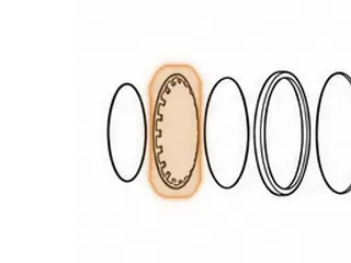 Spring, ZF5HP24 (BMW) D Clutch Return (.055” Thick) 6 5/8”OD (20 Fingers) 1995-Up — Part # 185975B