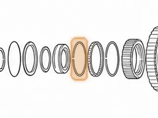 Freewheel, ZF5HP30 2nd Gear With End Caps (24 Elements) 1993-Up (.510” Thick) (1/2 Plastic & 1/2 Metal Cage) — Part # 159652A
