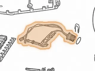 Wire Harness, ZF5HP30 Internal (16 Pin Connector With 8 Three Wire Connectors And 2 Two Wire Connectors) 1993-Up — Part # 159446A