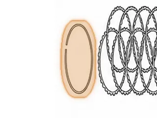 Snap Ring, ZF5HP30 Holds Direct Clutch Pressure Plate In Drum 1993-Up (.131” Thick) (8 3/8”OD) — Part # 159878A