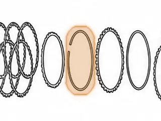 Snap Ring, 5L40E Holds Direct Clutch Pressure Plate In (Selective) 2000-Up… — Part # 144878AA
