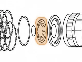 Spring, 5L40E (BMW) Low/Reverse Clutch Return (.075” Thick)(8 Fingers) 2000-Up — Part # 144977A
