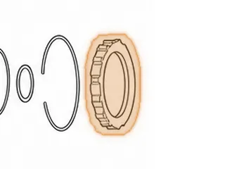 Diode, 5R110W Low (2nd Design) .865” Thick (Is Also Low/Reverse Clutch Pressure Plate) Has A Stamped Dot On 1 Tooth Of… — Part # 136644B