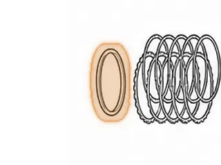 Cushion, 5R55N (Some) Forward Clutch (Bonded) (This Fits The Aluminum Piston Only) — Part # 16853AA