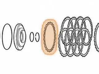 Cushion, ZF6HP19/19X/21 Overdrive Clutch (E)(Waved)(.030”Thick)(3.978”ID)(24 Teeth) 2004-Up — Part # 209121A