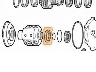 Ball Bearing, ZF6HP19X Torsen To Extension Housing (16 Balls)(2.675”OD)(.353”Thick) (Cast # SKF 16008163) 2004-Up — Part # 209287C