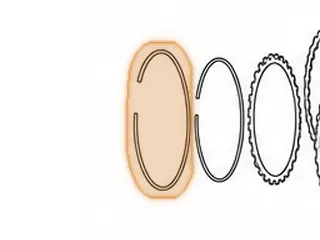 Snap Ring, ZF6HP26 (Ford)/6R60 Holds Center Support To Case (.172” Thick) 8 3/8”OD (Beveled) 2005-Up — Part # 49883A