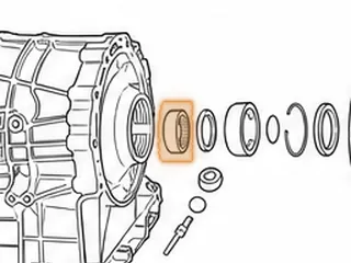 Caged Needle Bearing, 6R60 Output Shaft To Case (.778” Thick) 2.480”OD (Cast # 7A415 FOMOCO) 2006-Up — Part # 49263C