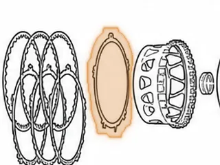 Steel, 6F50/6F55 2-6 Clutch (.045”)(6 Teeth)(Waved)(7 1/4”ID) 2007-Up — Part # 25121A
