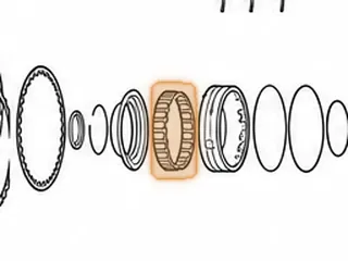 Spring, 6F50/6F55/6T70/6T75 4-5-6 Clutch Return (22 Springs)(.750” Thick)(4.120”OD) (3.445”ID) 2007-Up — Part # 25974A