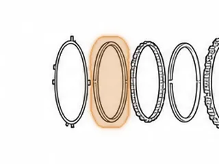 Sprag, AW80-40LE/AW81-40LE/U440E F2 Low Gear (Brass Caps)(.455”Wide/.605”Wide w/ Caps) 1999-Up — Part # 137658A
