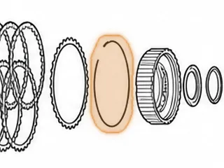 Snap Ring, ZF8HP45/845RE Holds B Clutch Pressure Plate In (.077" Thick)(7"OD) 2012-Up — Part # 319892A