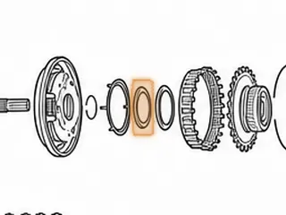 Race, ZF8HP55 P2 Planet (Rear)(Cupped)(3.185"OD)(1.920"ID) 2009-Up — Part # 309240A