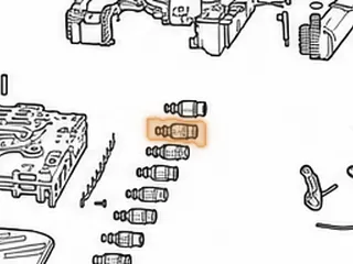 Solenoid, ZF8HP55 EPC Clutch D (Orange Connector) 2009-Up (2.595"Long) — Part # 309440A