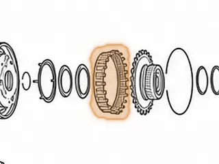 Ring Gear, ZF8HP55 P2 Planet (24 Lugs) 2009-Up — Part # 309590A