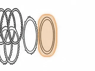 Cushion, 8L90 1-2-3-4-5-Reverse Clutch (.105"Thick)(7 7/16"OD) (6 5/16"ID) 2015-Up — Part # 334857B